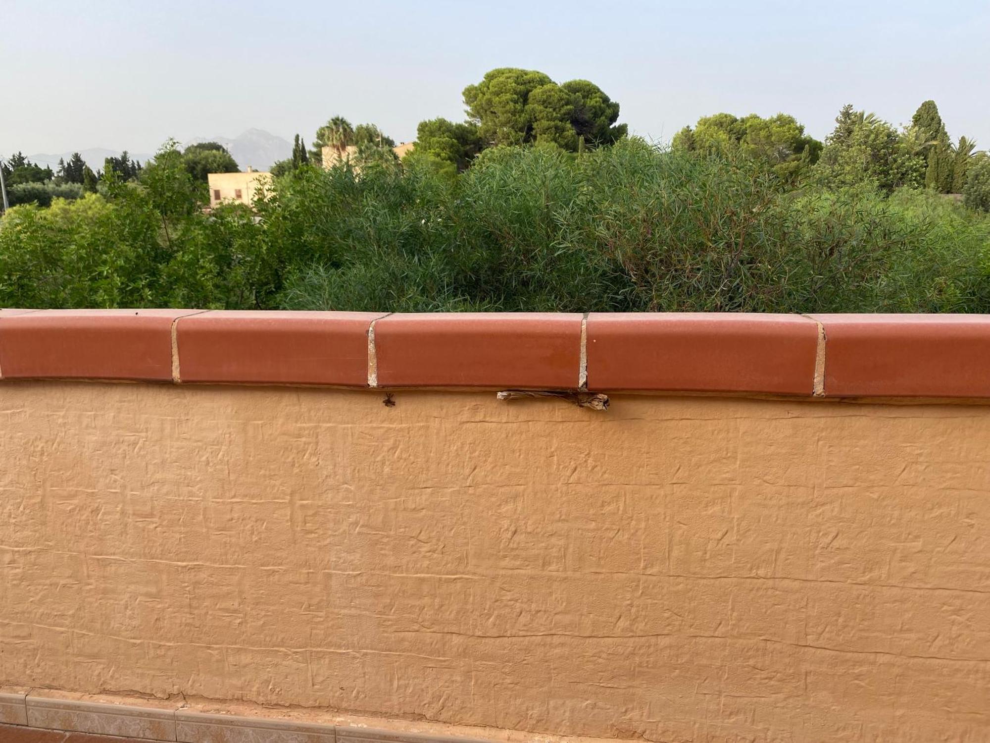 فيلا Casa En La Huerta De موتيكْتْساميل المظهر الخارجي الصورة